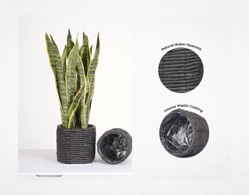 Set of 2 Water Hyacinth Planter Pot Indoor for Plant, Flower Pot, Succulent Pot, Basket Planter, Decorative Pot Cover (Black)