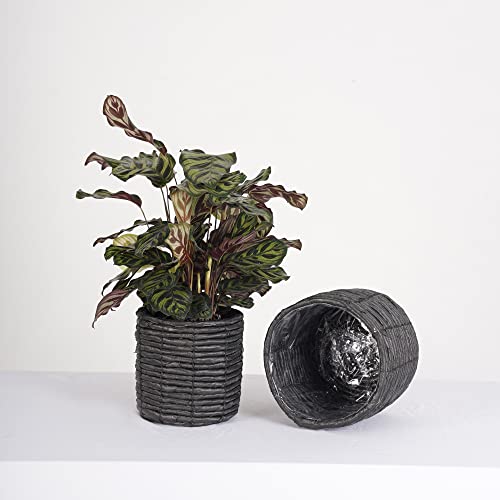 Set of 2 Water Hyacinth Planter Pot Indoor for Plant, Flower Pot, Succulent Pot, Basket Planter, Decorative Pot Cover (Black)