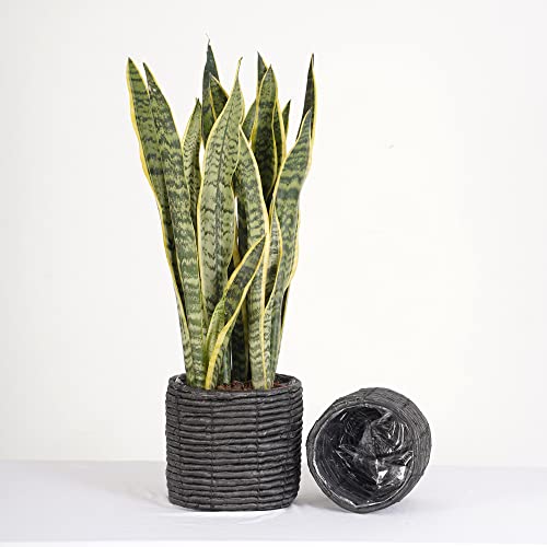 Set of 2 Water Hyacinth Planter Pot Indoor for Plant, Flower Pot, Succulent Pot, Basket Planter, Decorative Pot Cover (Black)