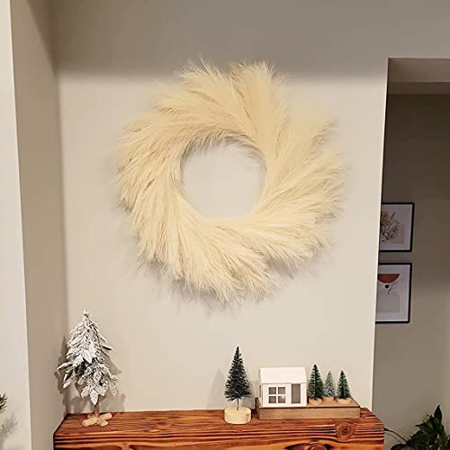 Hananona Artificial Pampas Grass Wreath, 26" Faux Pampas Grass Decor for Home Boho Fall Decoration (Beige, 1)